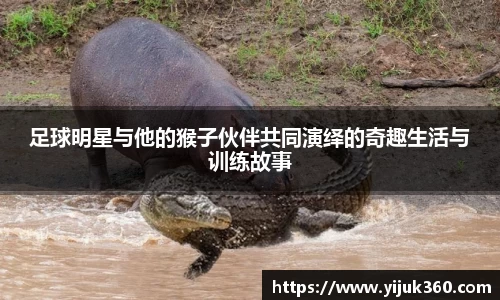 OB体育官方网站